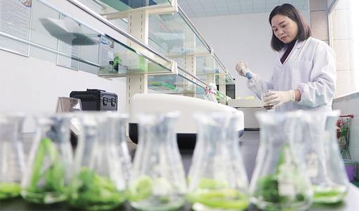 如何排除混子公司找到專業(yè)的上海甲醛檢測機(jī)構(gòu)？